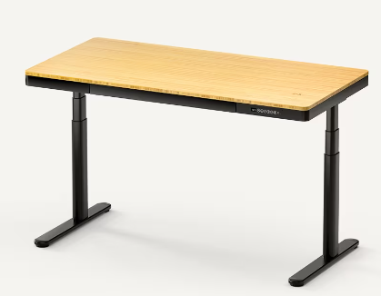The Best Adjustable Standing Desk With Robust Features