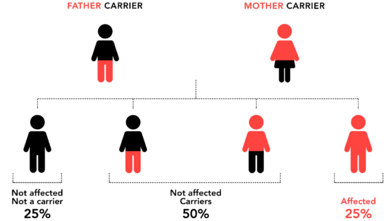 Common Genetic Diseases Which May Possibly Transfer from Parents to Kids