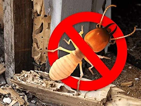 Advantages of calling pest control experts in Escondido